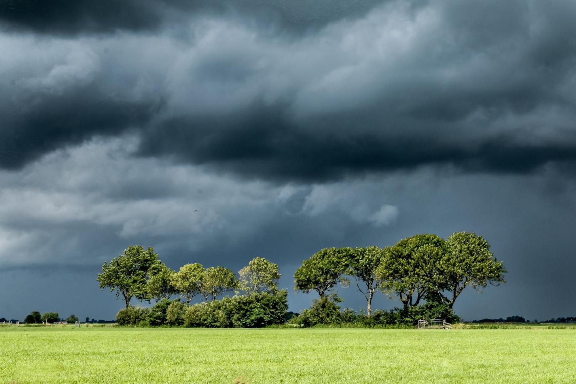 Cynnewille Ee Buitenkant foto