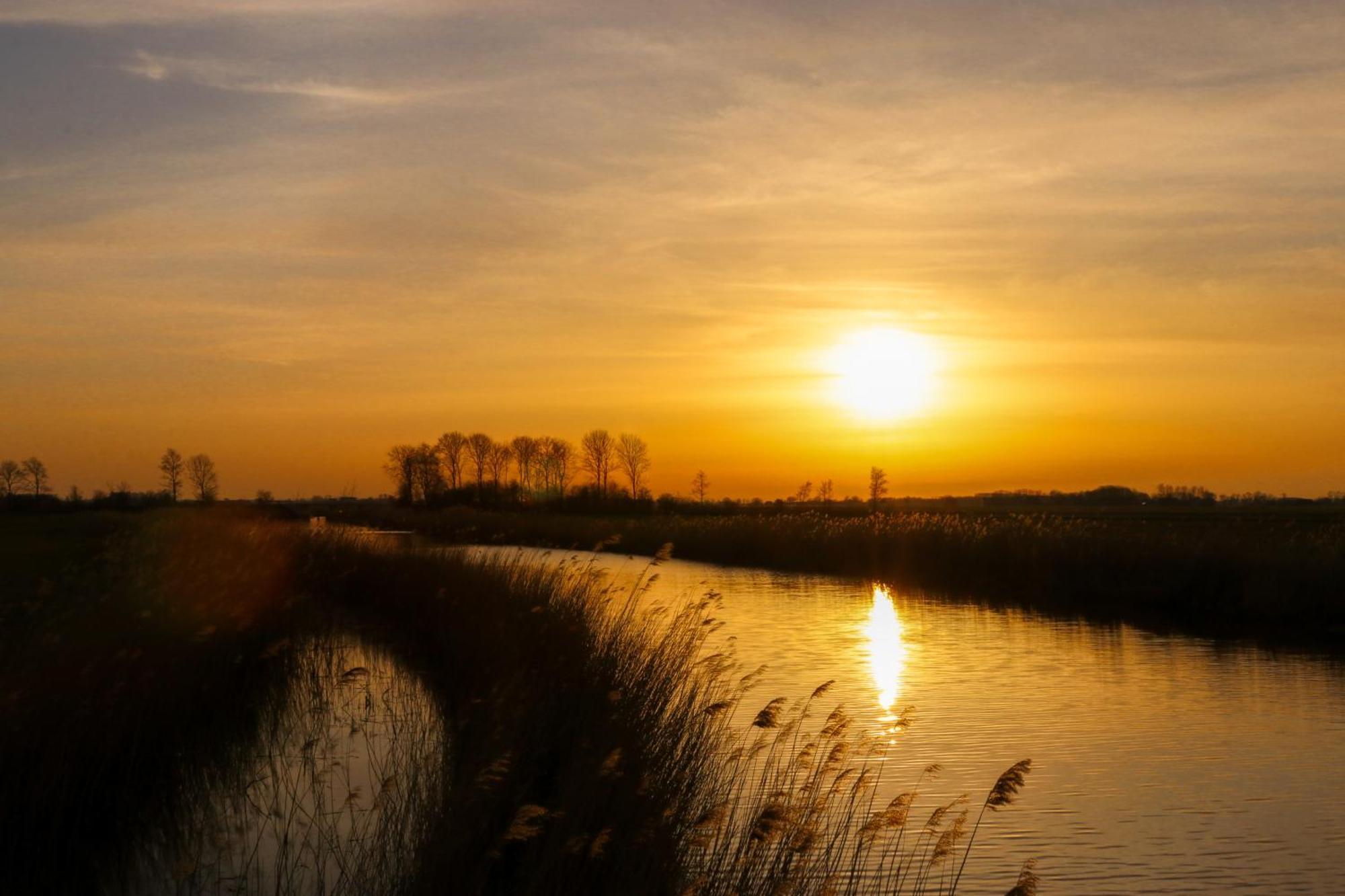Cynnewille Ee Buitenkant foto