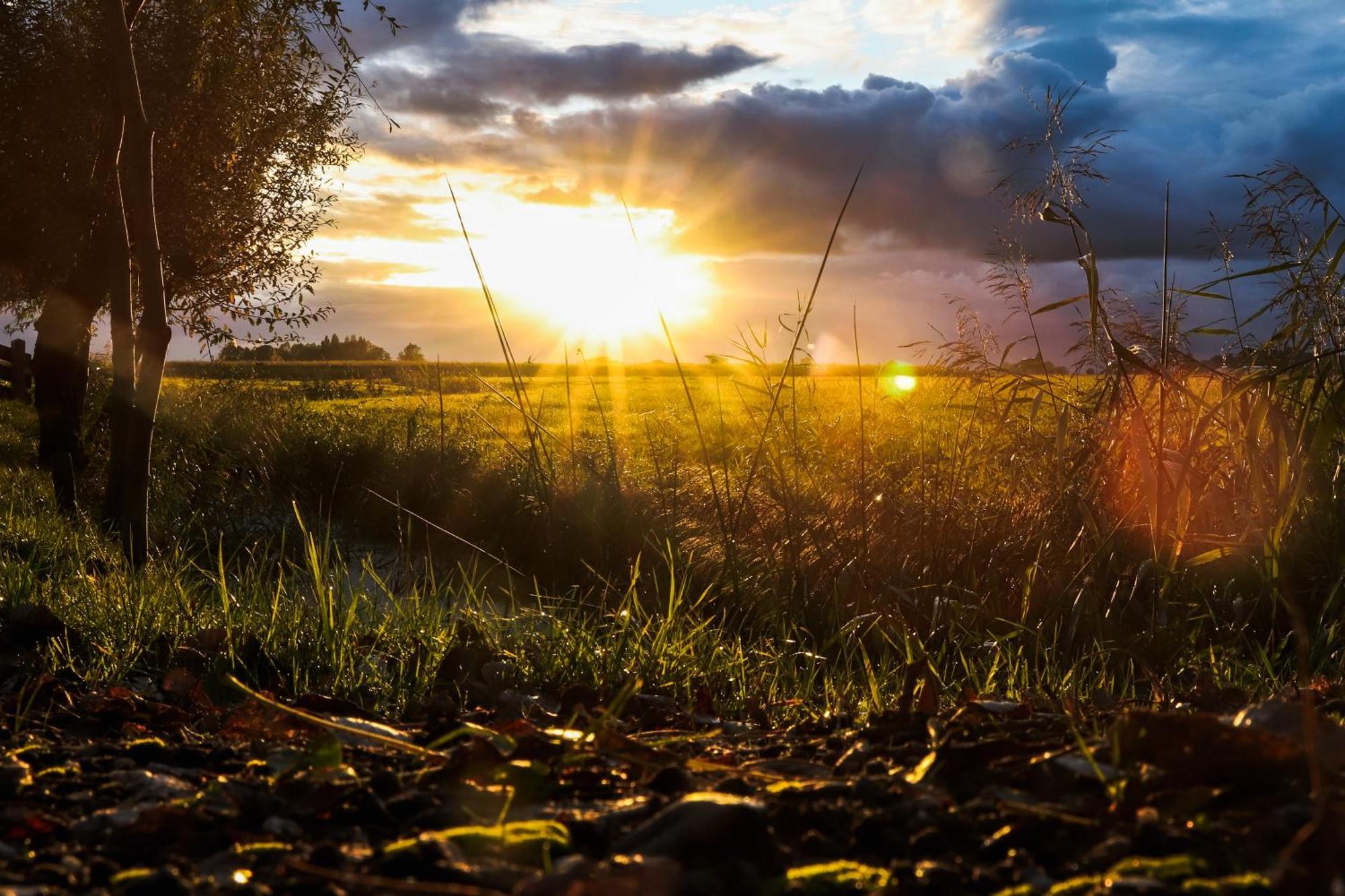 Cynnewille Ee Buitenkant foto