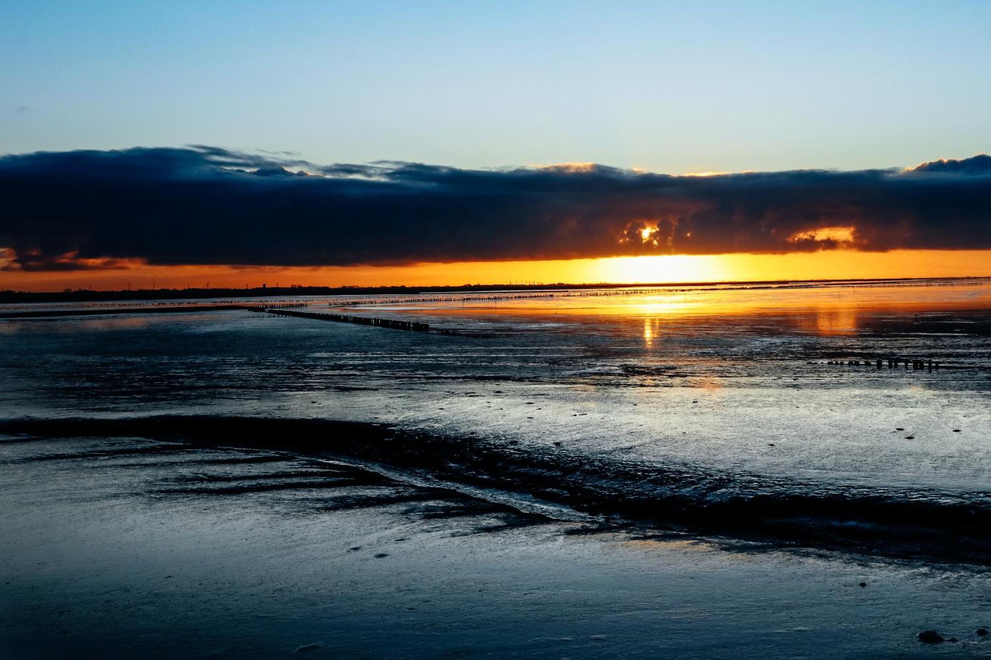 Cynnewille Ee Buitenkant foto