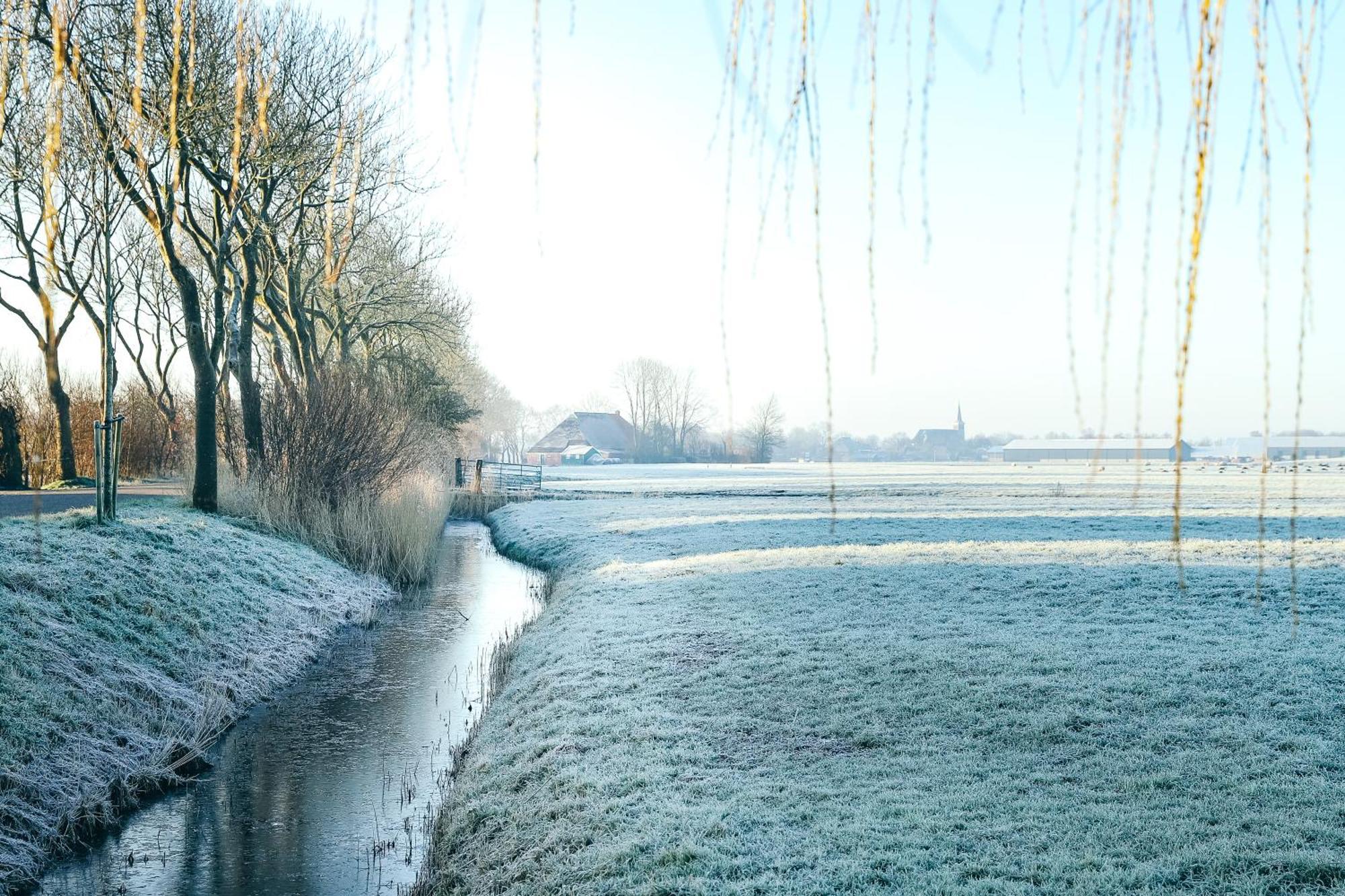 Cynnewille Ee Buitenkant foto