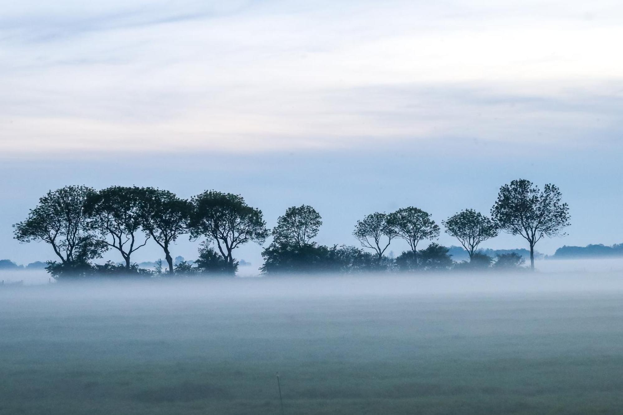Cynnewille Ee Buitenkant foto